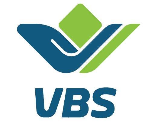 Vietnamese Business Solutions logo